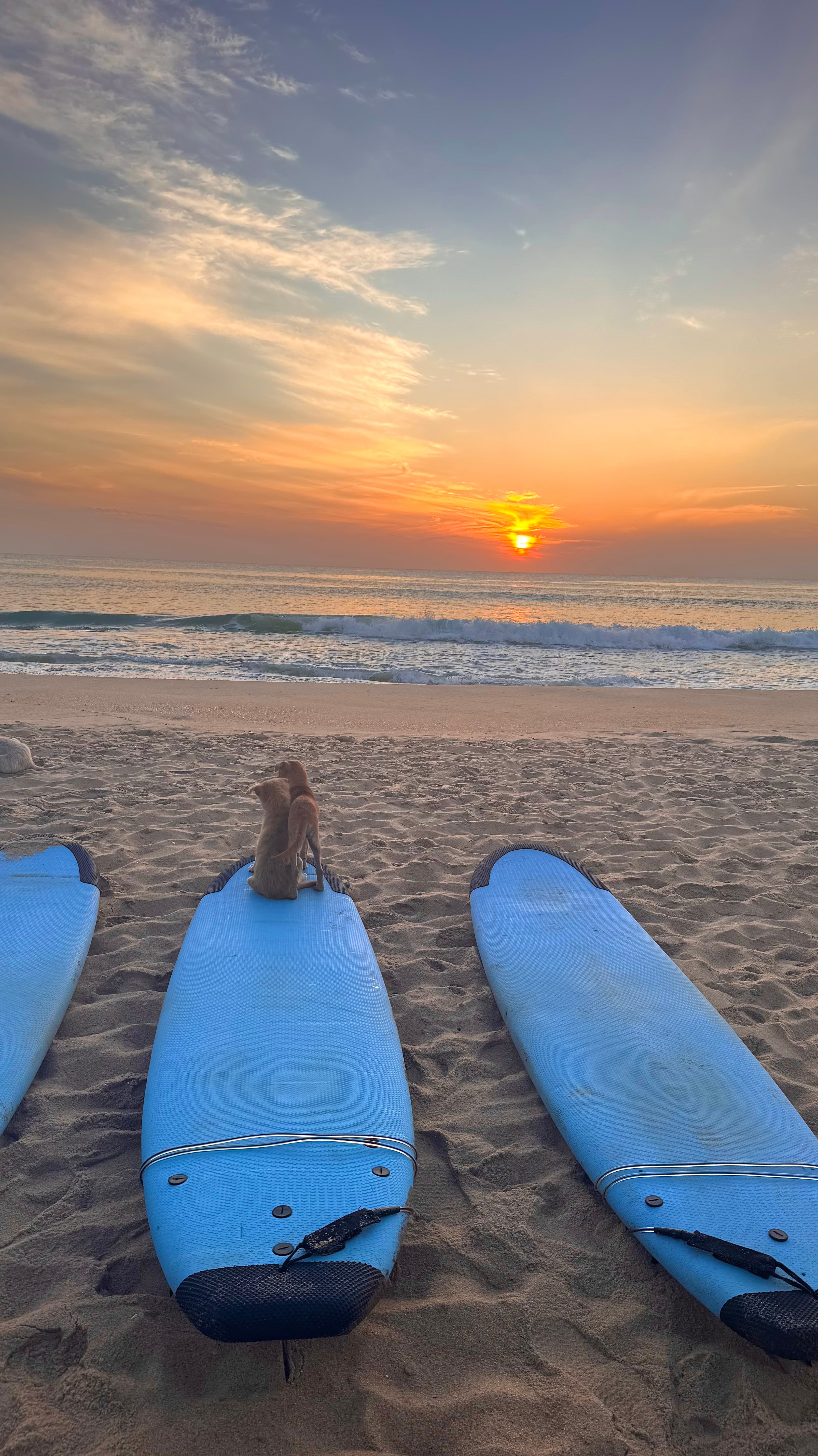 Sri Lanka — photograph 1